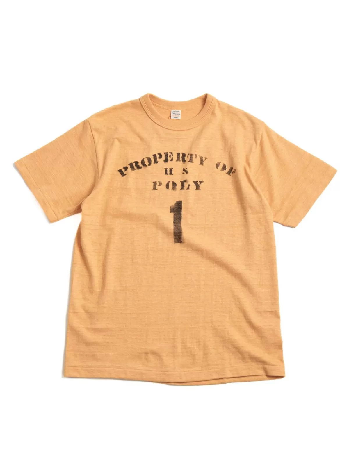 Lot 4601 Property Of Hs Poly Orange^Warehouse & Co Store
