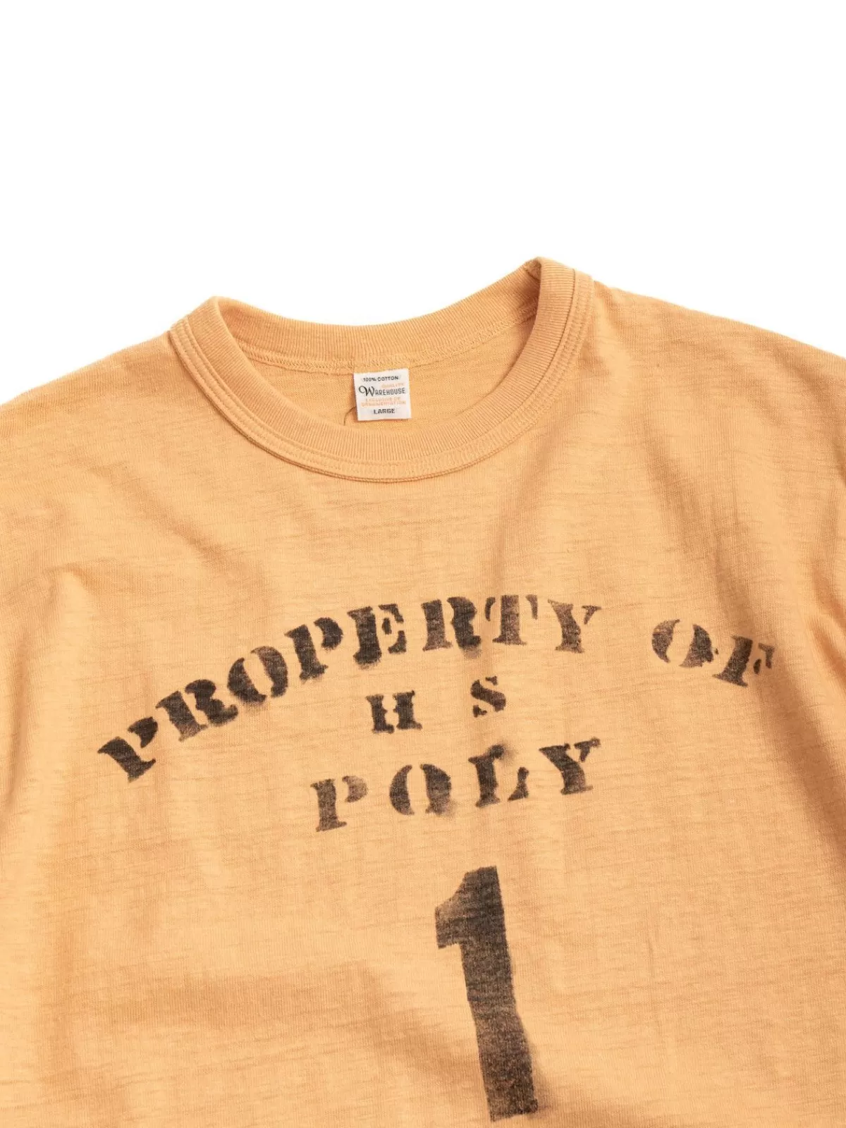 Lot 4601 Property Of Hs Poly Orange^Warehouse & Co Store